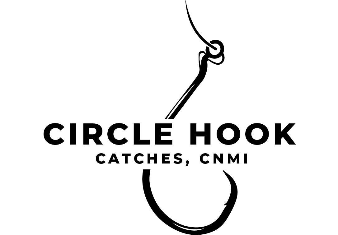 Circle Hook Logo